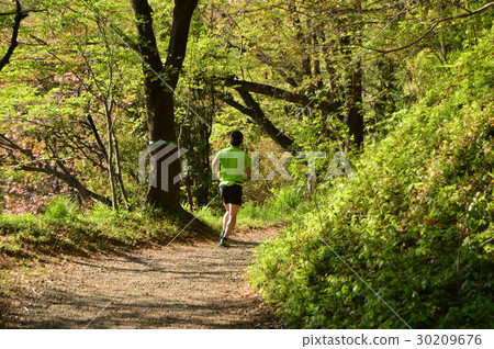 春天的瀧山城遺址公園就像這個八王子市 春天的瀧山城遺址公園就像這個八王子市 30209676