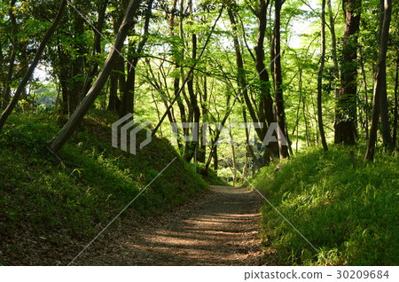 春天的瀧山城遺址公園就像這個八王子市 春天的瀧山城遺址公園就像這個八王子市 30209684