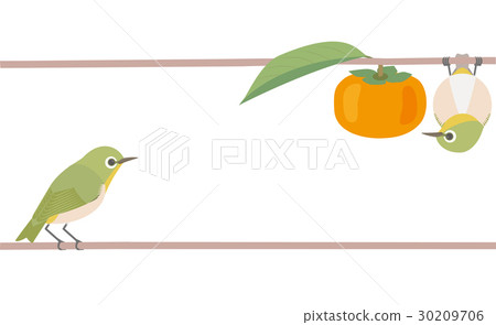 Mejiro and Kaki Japanese style Mejiro and Kaki Japanese style 30209706