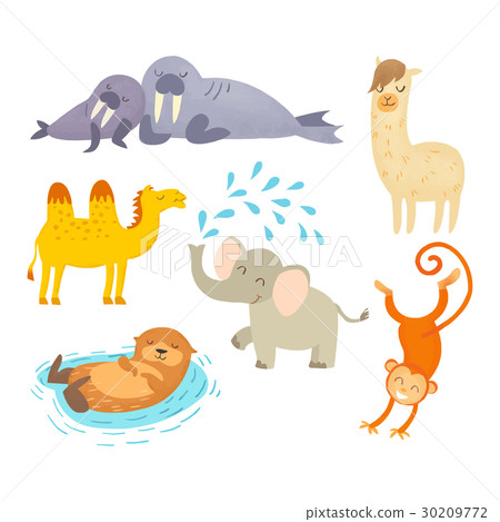 Animal 30209772