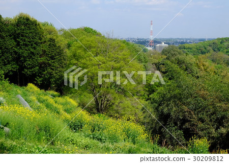 在小野寺的Satoyama和市區的遠景 在小野寺的Satoyama和市區的遠景 30209812