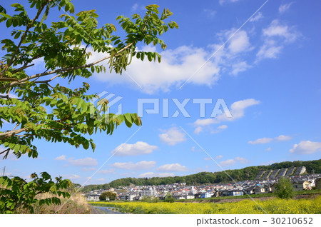 Spring Tama hills Asakawa is like this Hachioji City Spring Tama hills Asakawa is like this Hachioji City 30210652