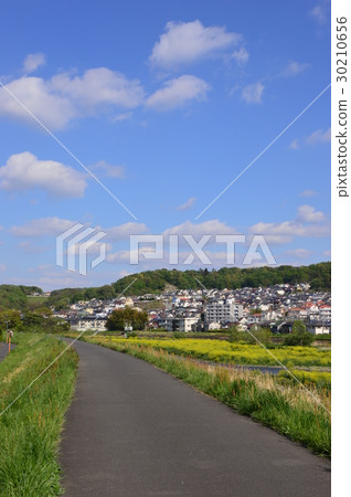 Spring Tama hills Asakawa is like this Hachioji City Spring Tama hills Asakawa is like this Hachioji City 30210656