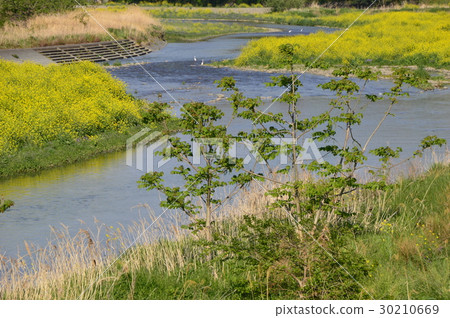 Spring Tama hills Asakawa is like this Hachioji City Spring Tama hills Asakawa is like this Hachioji City 30210669