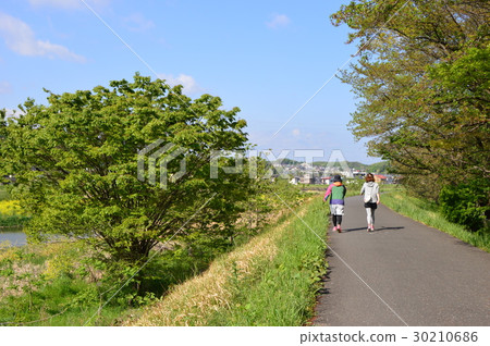 Spring Tama hills Asakawa is like this Hachioji City Spring Tama hills Asakawa is like this Hachioji City 30210686