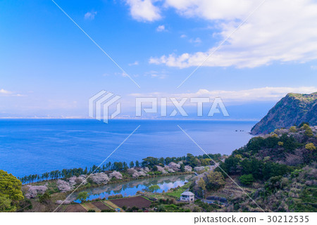 [靜岡縣沼津市]背後的富士山的愛達和明神池的海岸線 30212535