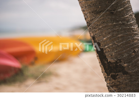 Kayaks on the beach during the day 30214883