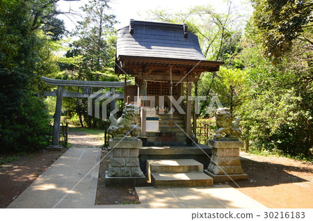 Hirayama Castle Ruin Park in Spring Momentary Hachioji City 30216183