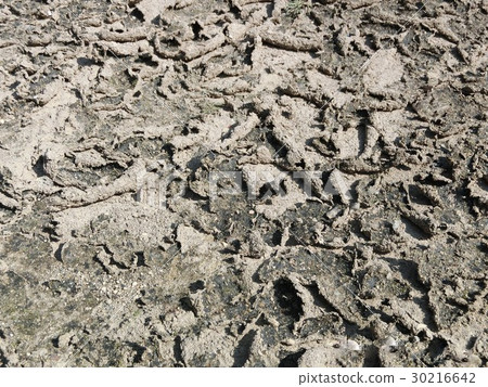 Dry soil pattern 30216642