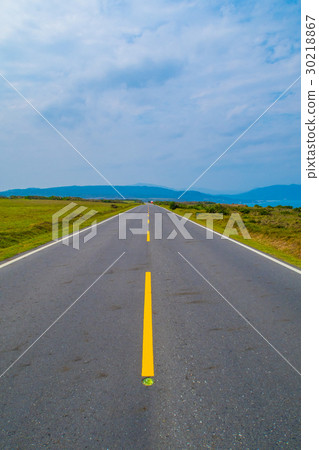 道路與自然 30218867