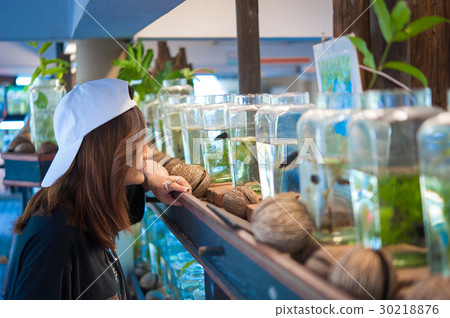 aggressive, animal, aquarium 30218876