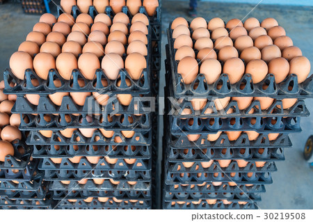 Eggs from hen farm in the package for sale. Eggs from hen farm in the package for sale. 30219508
