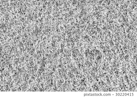 The artificial grass in black and white effect The artificial grass in black and white effect 30220415