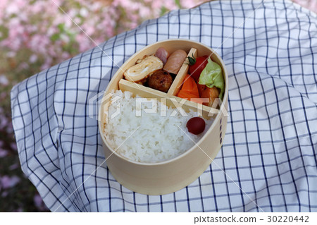 Lunch box, lunch box Lunch box, lunch box 30220442