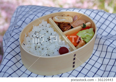 Lunch box, lunch box Lunch box, lunch box 30220443