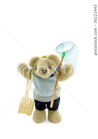 Bear with bears to take insects 30221443