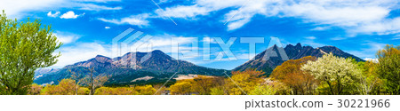 燒毀了阿蘇山Neko山 30221966