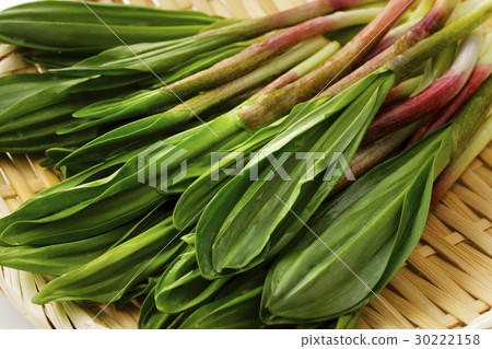 Garlic clamor Garlic clamor 30222158
