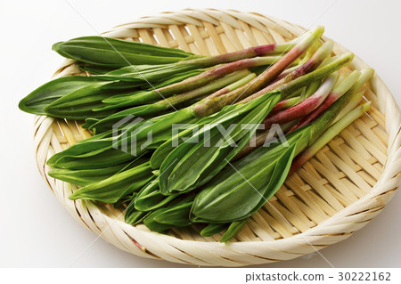 大蒜喧囂 30222162