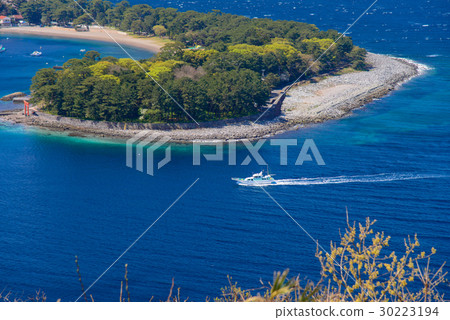 [Shizuoka Prefecture] Cape Mihama, spring in Nishi Izu Toda, spring 30223194