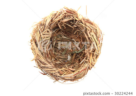 small straw nestle small straw nestle 30224244