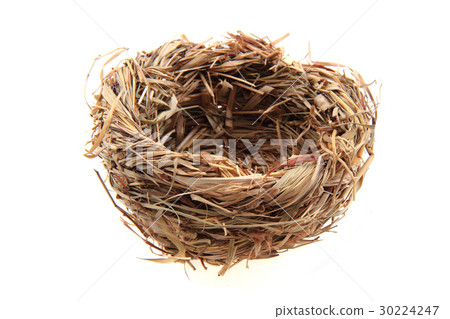 small straw nestle 30224247