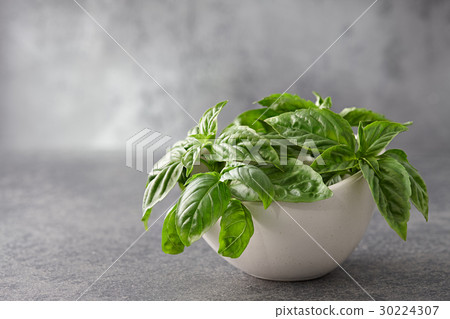 圖庫照片: fresh basil leaves in bowl