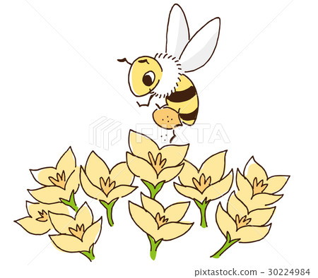 Illustration of pollination 30224984