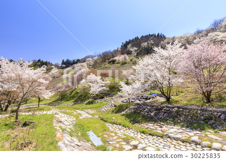 Yamazakura of Luo Town Yamazakura of Luo Town 30225835