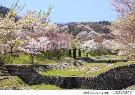 羅鎮的山倉 羅鎮的山倉 30225847