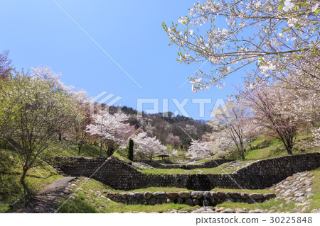 羅鎮的山倉 30225848