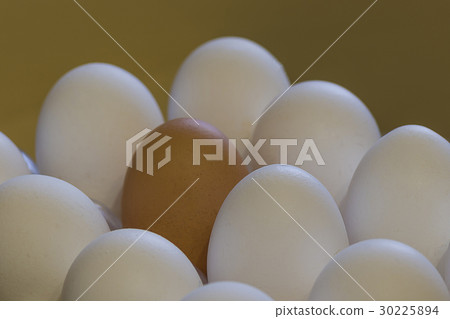 tolerance friendship concept tolerance friendship concept 30225894