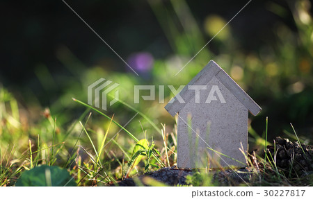 layout of the house on the grass 30227817