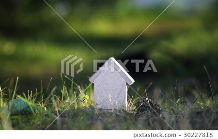 layout of the house on the grass 30227818