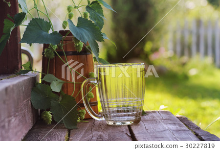 glass of beer wooden hop nature 30227819