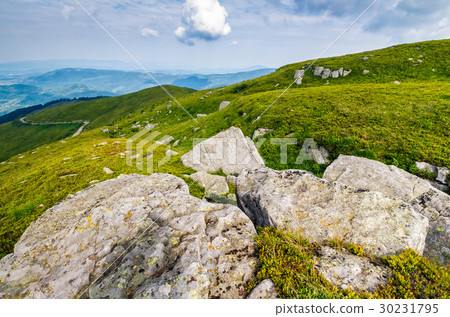meadow with boulders in summer meadow with boulders in summer 30231795