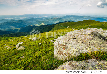 meadow with boulders in Carpathian mountains meadow with boulders in Carpathian mountains 30231796