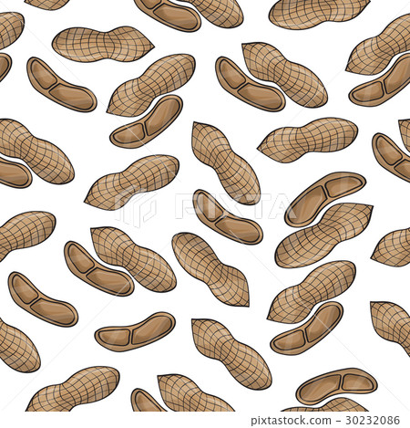 Vector seamless background of peanuts - food 30232086