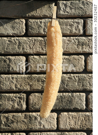 Scoop of dried larva 30232487