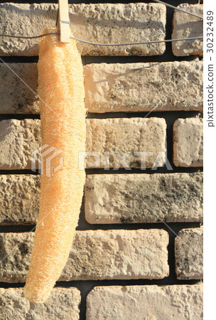 Scoop of dried larva Scoop of dried larva 30232489