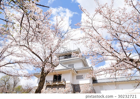 春天的Yukyama公園當地民俗博物館 30232721
