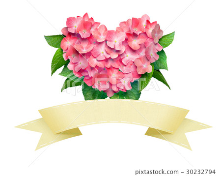 Heart shaped hydrangea and ribbon 30232794