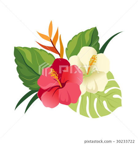 Beautiful hibiscus flowers and palm leaves 30233722