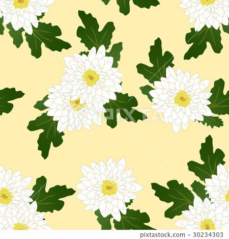 White Chrysanthemum on Yellow Ivory Background. White Chrysanthemum on Yellow Ivory Background. 30234303