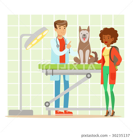 Cheerful woman and veterinary doctor examining dog Cheerful woman and veterinary doctor examining dog 30235137