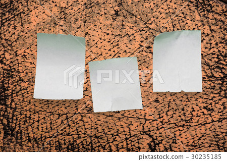 Scraps Scraps 30235185