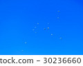 Paratroopers descend to earth on blue clear sky 30236660