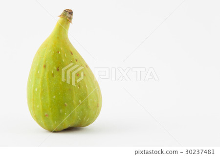 Common fig (Ficus carica) isolated 30237481