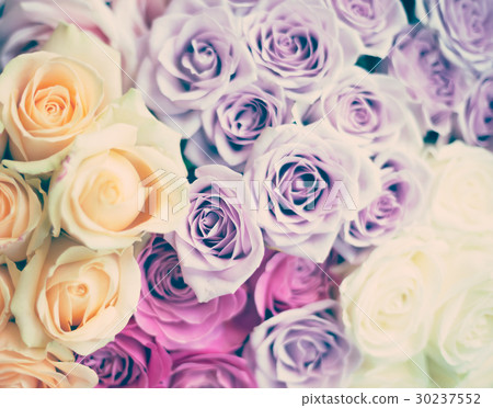 Vintage bouquet of roses 30237552