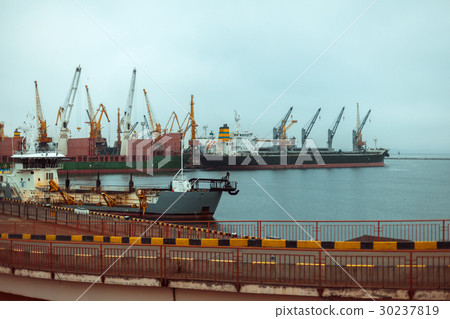 Cargo cranes, Odessa sea port 30237819